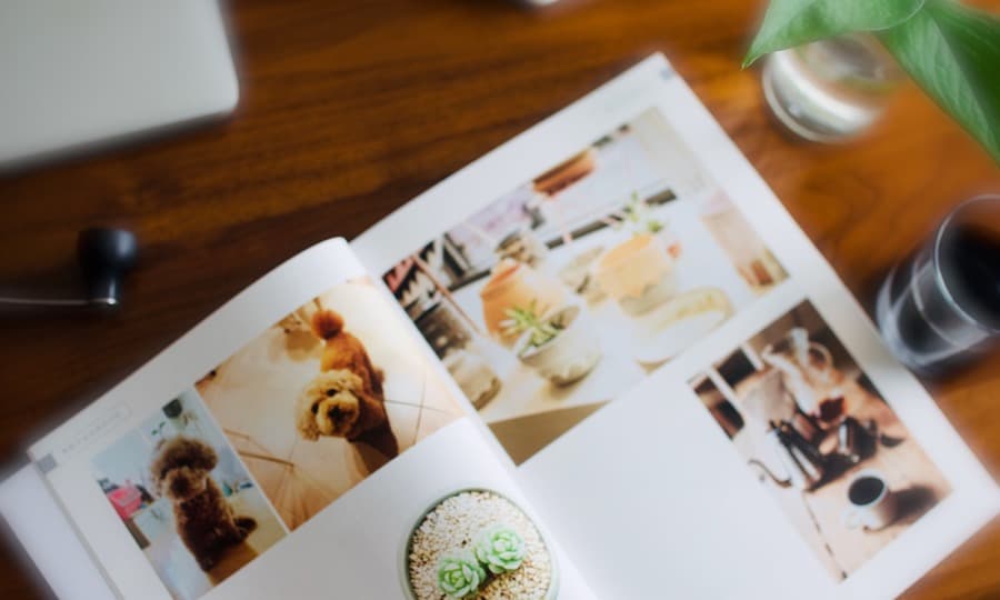 Celebrate Friendship Forever